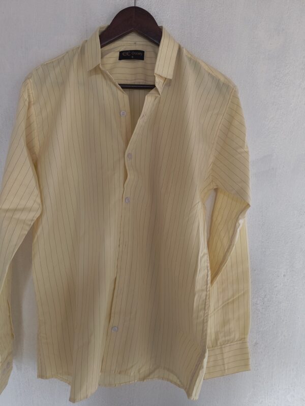 A Light Yellow Shade Stripe shirt